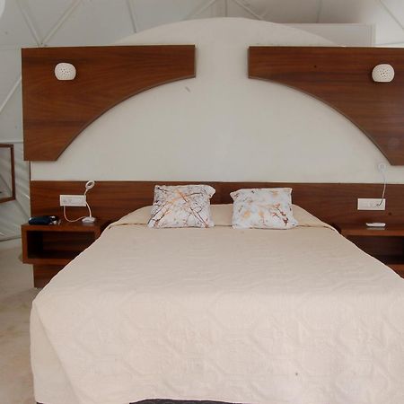 Cozy Room Near The Beach, Party Zone تولوم المظهر الخارجي الصورة